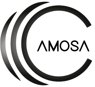 CAMOSA WEB